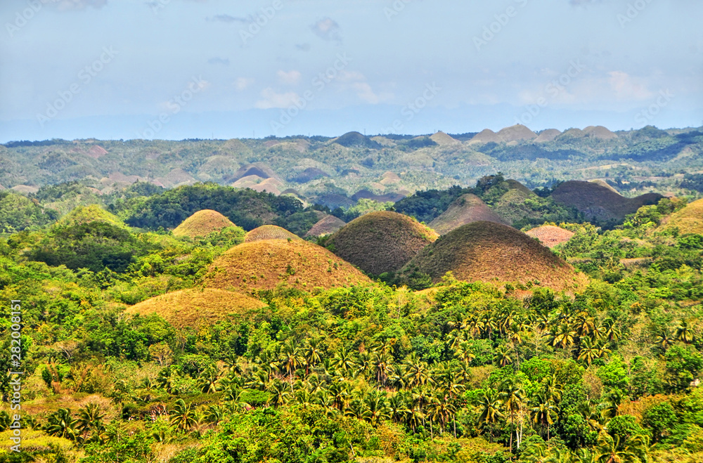 The Chocolate Hills  -  geological formation in the Bohol province of the Philippines. - obrazy, fototapety, plakaty 