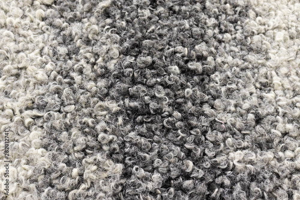 Background in the form of lamb fur (astrakhan) light gray color, close-up Background in the form of lamb fur (astrakhan) light gray color, close-up