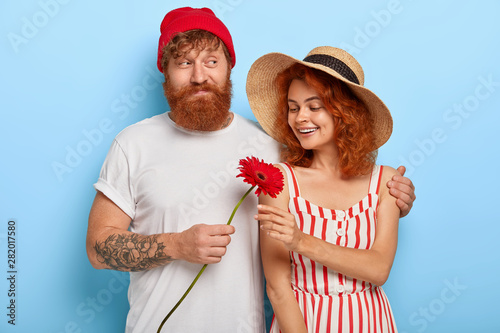 Romantic couple in love feel love to each other, bearded ginger boyfriend hugs girlfriend with love, gives red gerbera flower, have first date, wear stylish clothes, isolated on blue wall. Relations photo