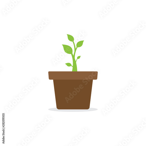 Green environment concept  plant  pot  flat design vector illustration
