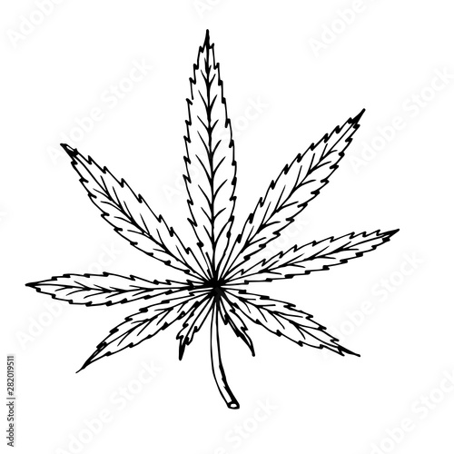 Doodle cannabis leaf hand drawn black outline