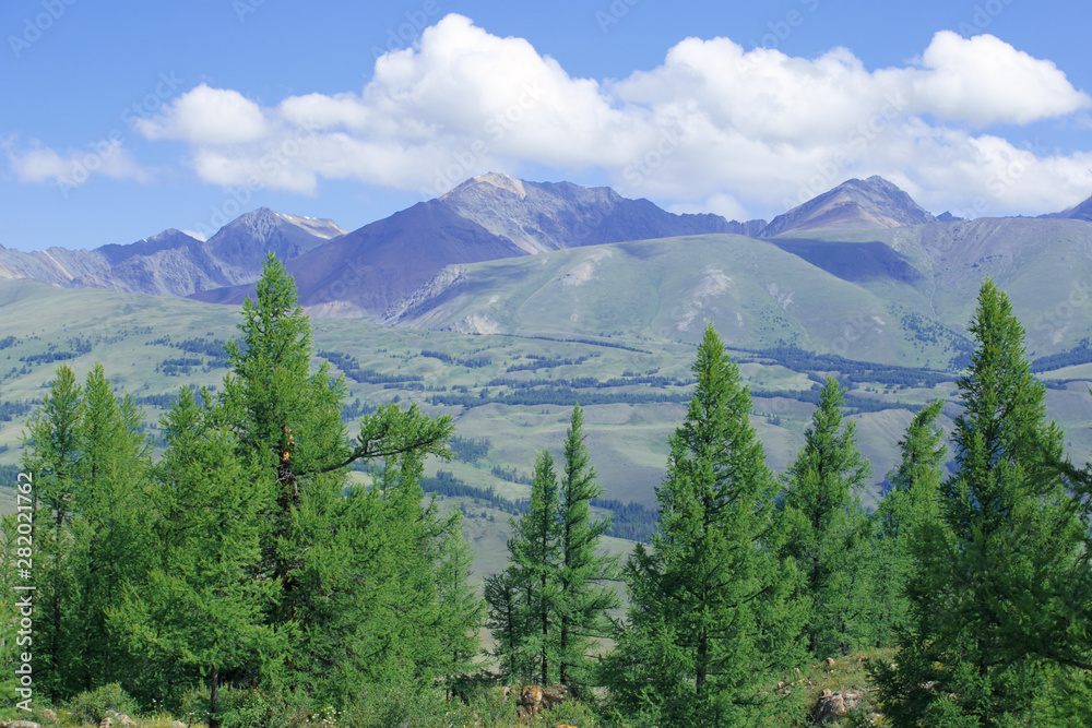 High Cliffs with trees on sunny day. Mountain Landscape.