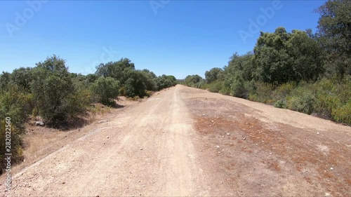 dirt road between Cerro Muriano and El Vacar, province of Cordoba, Andalusia, Spain photo