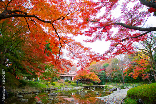 Koishikawa Korakuen garden photo