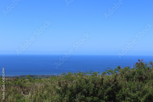 landscape with trees and blue sky and ocean