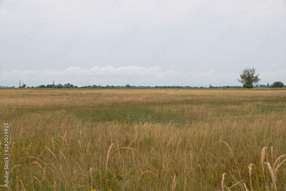 Landscape shot in the national park Neusiedler See in Illmitz Burgenland