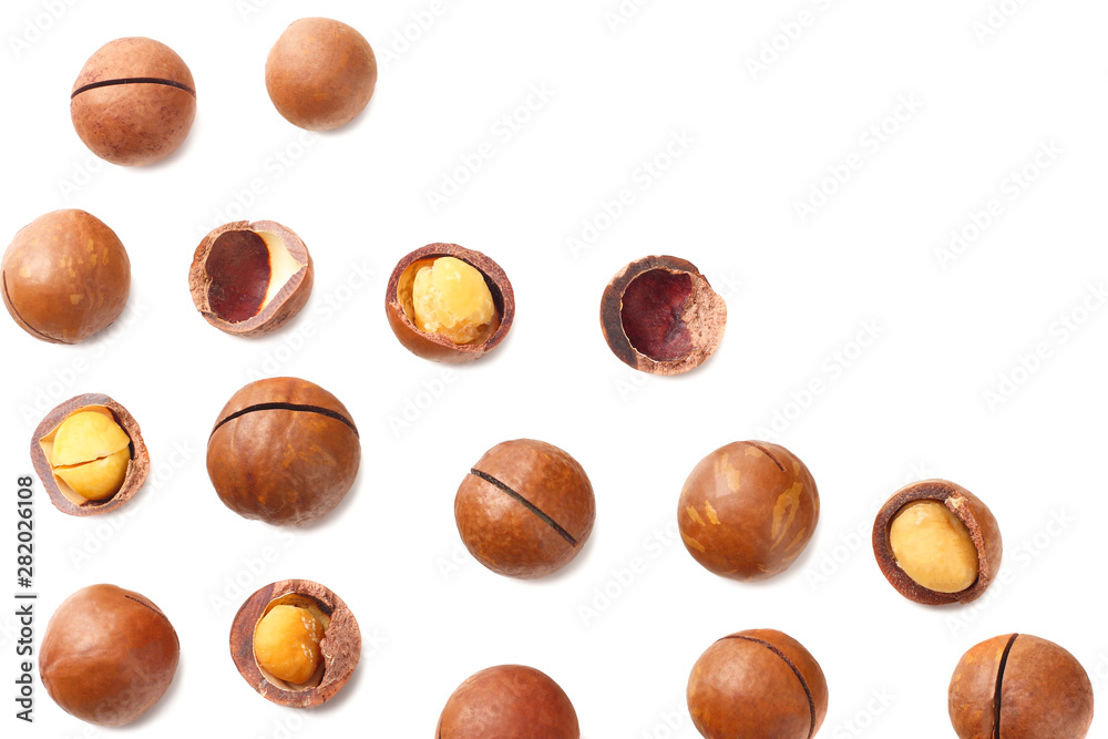 Macadamia nut isolated on a white background. top view Macadamia nut isolated on a white background. top view