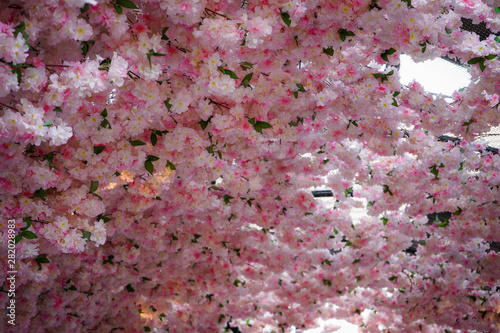 fake Sakura flowers for decoration in the super market © Peerapixs