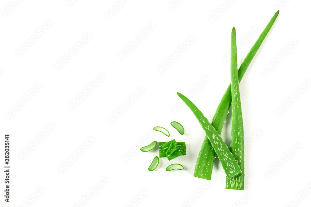 Aloe Vera sliced isolated on white background. Aloe Vera sliced isolated on white background.