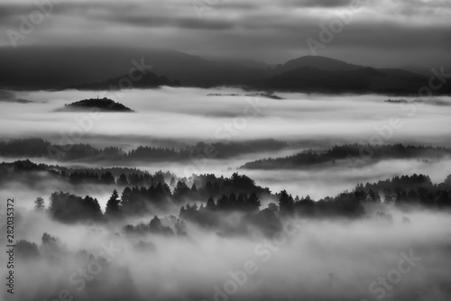 Foggy morning in the countryside