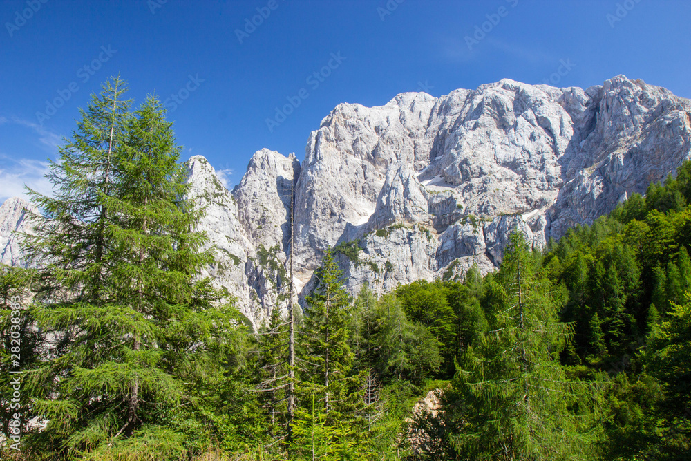 Obraz premium Summer in the Triglav National Park, Slovenia
