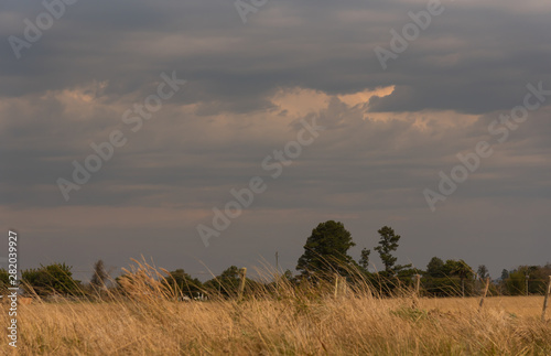 The Dusk before the rain