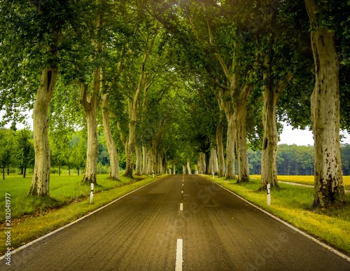 Verfolge deine Ziele