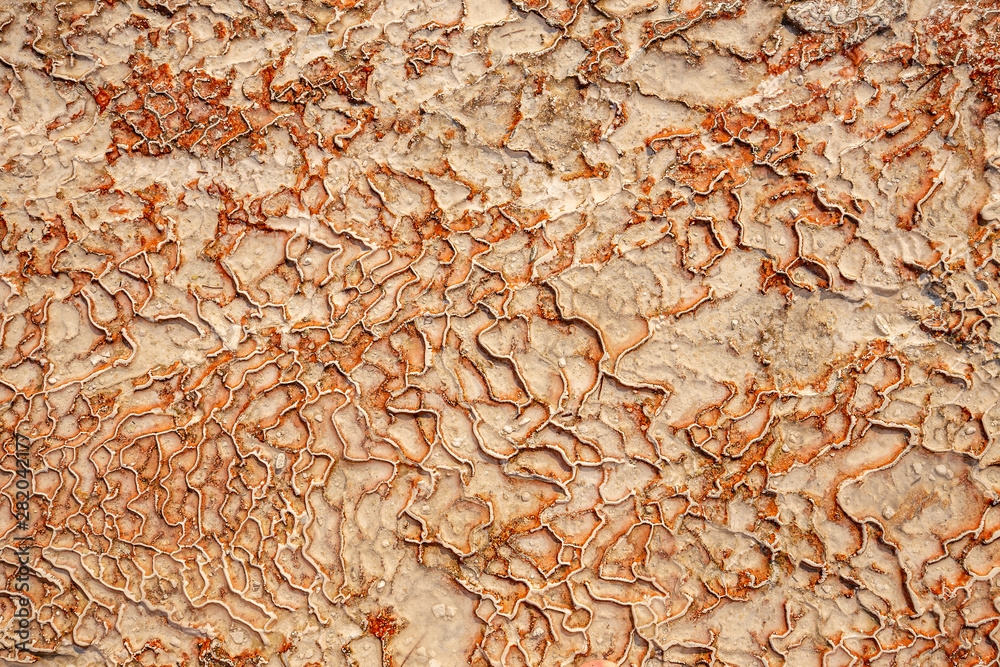 Pamukkale travertine pools surface Pamukkale travertine pools surface