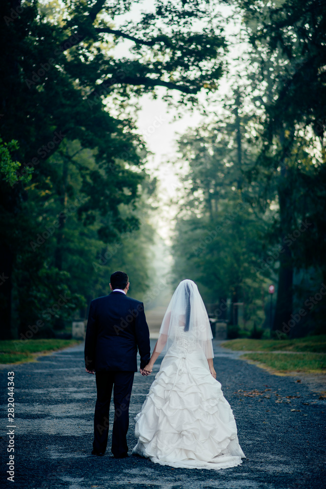 bride and groom walking in the park bride and groom walking in the park