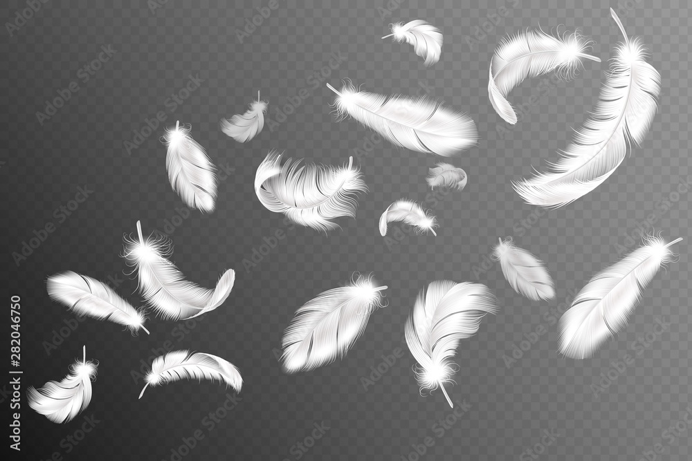 Black Swan Wings | Fallen Angel Wings
