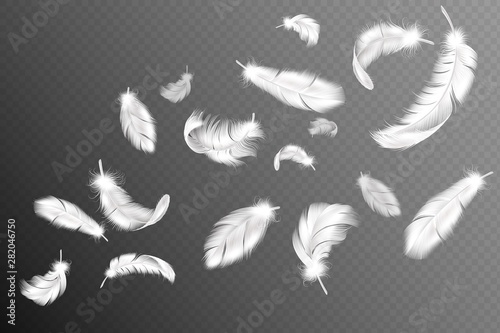 Fotografie, Obraz Flying feathers