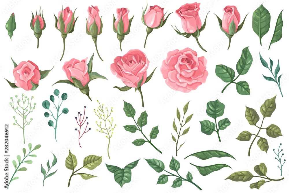 Rose elements. Pink flower buds, roses with green leaves bouquets, floral romantic wedding decor for vintage greeting card. Vector set Rose elements. Pink flower buds, roses with green leaves bouquets, floral romantic wedding decor for vintage greeting card. Vector set