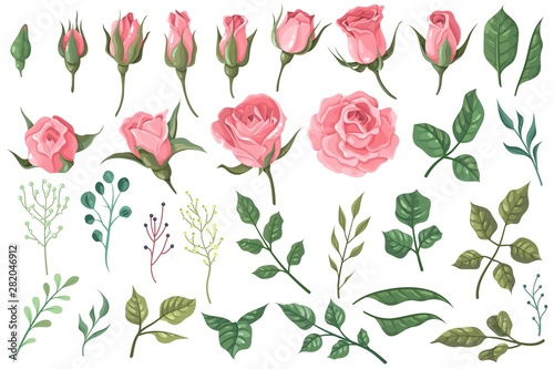 Rose elements. Pink flower buds, roses with green leaves bouquets, floral romantic wedding decor for vintage greeting card. Vector set
