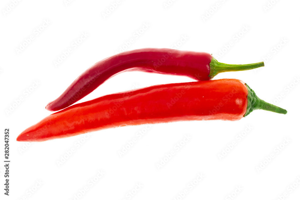 long curved pod of chili pepper horizontal vegetables on white background isolated