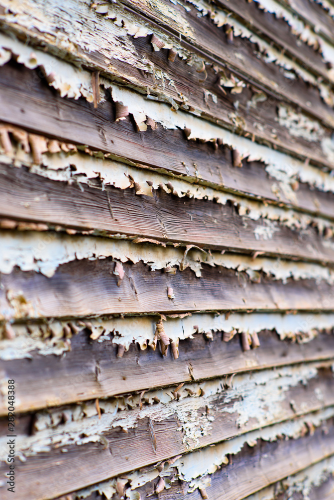 Paint is peeling off wooden planks used to build the wall of a house