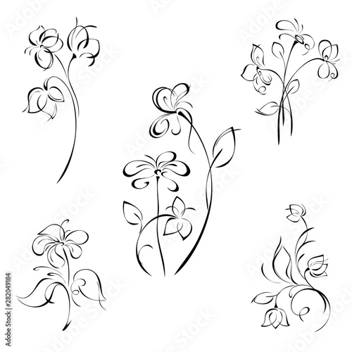 stylized decorative flower on a stalk with leaves and curls in black lines on a white background. SET