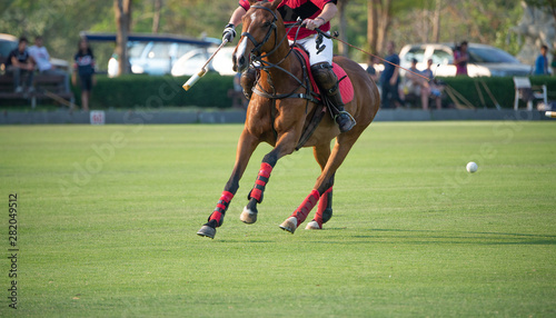 One Polo player and horse playing in Polo Club.