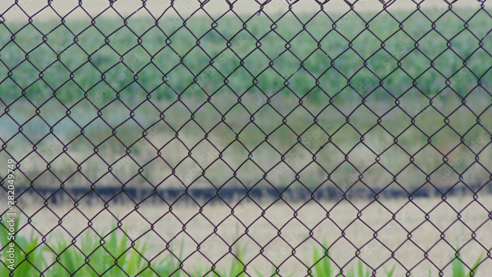 fence against the backdrop of nature. fence against the backdrop of nature.