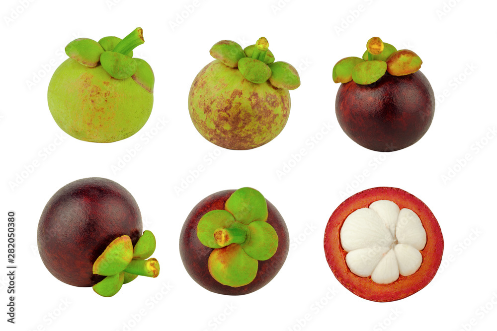 set of mangosteen fruit isolated set of mangosteen fruit isolated