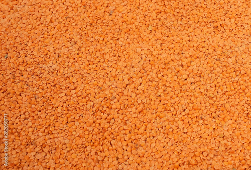 Solid background of bean lentils.