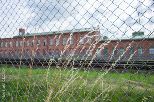 barbed wire fence