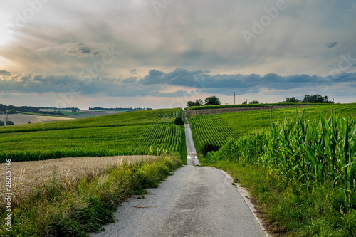 long path on bavarian field with cloudy sky photo