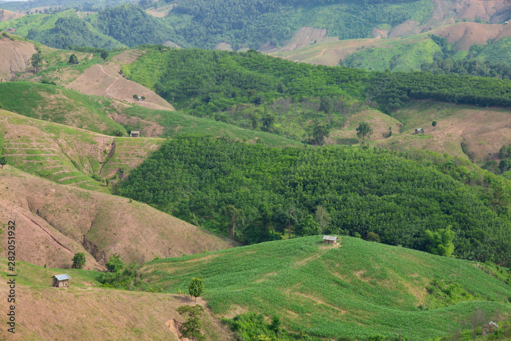 Fototapeta premium Mountain green landscape, agriculture on mountain.