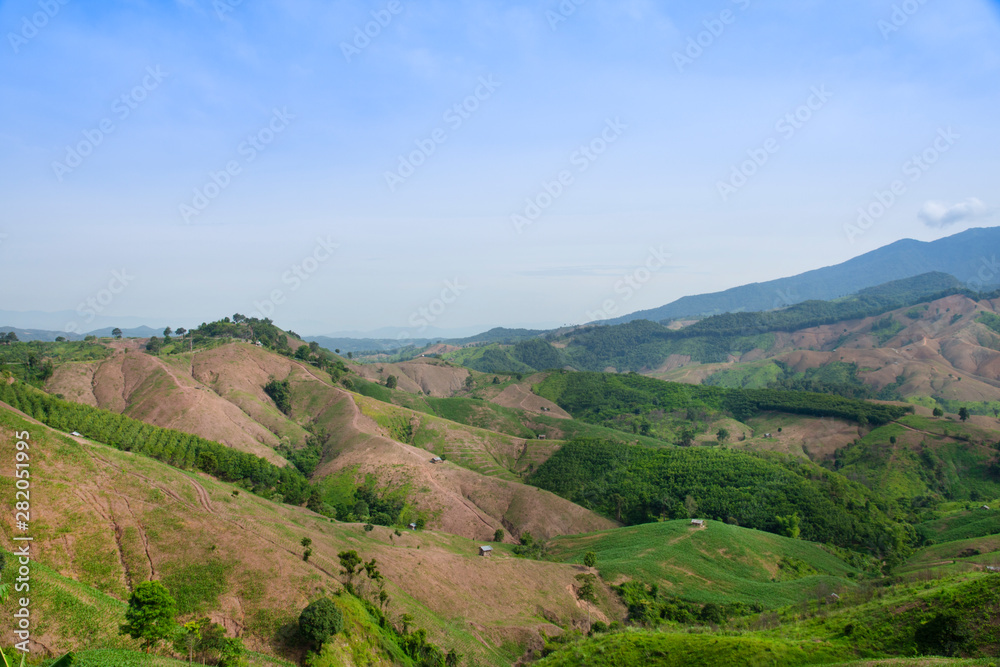 Mountain green landscape, agriculture on mountain with blue sky.