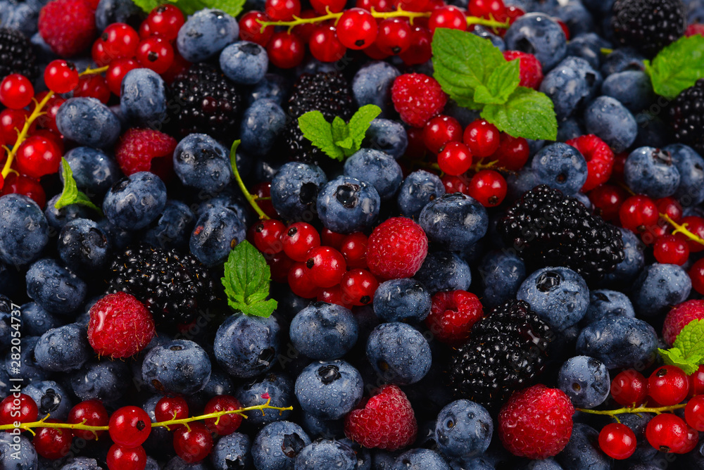 Blackberry, raspberry, blueberry, red currant and mint background. Blackberry, raspberry, blueberry, red currant and mint background.