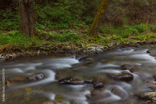 Down stream in rocky Cyprus forest. Long exposure.