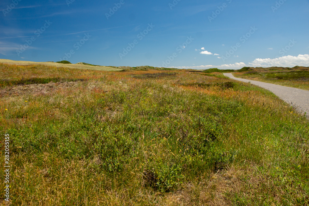 Obraz premium Dünenlandschaft