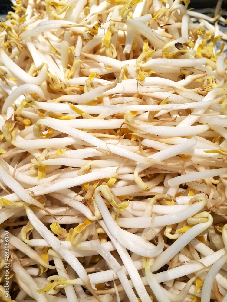 A pile of bean sprouts.