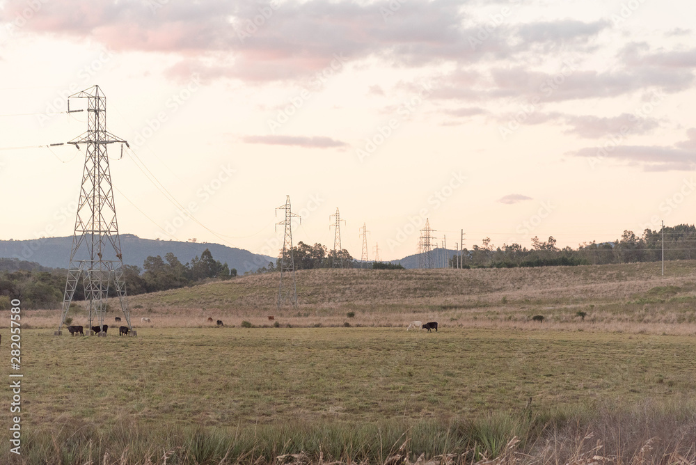 The power transmission tower and the late afternoon 07