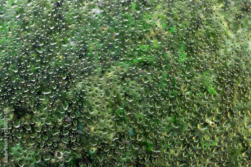 Fototapeta Naklejka Na Ścianę i Meble -  water drops on glass against the sky and trees.