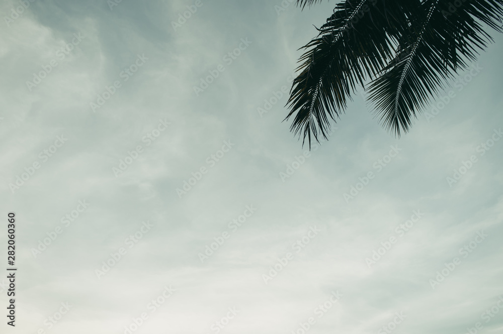 Naklejka premium Coconut and sky gardens in Thailand