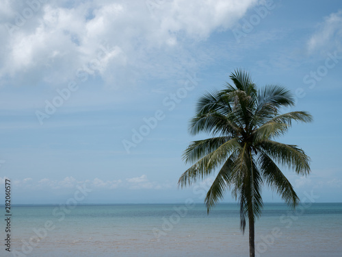 Summer beach in Thailand  blue ocean  sand  and sunshine