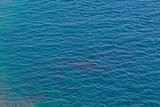 Calm waves on the ocean, top view