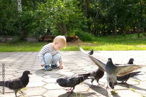 Kid sits surrounded by pigeons and studies the crumbs of bread intended for them in a summer green park on a sunny day photo