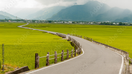 Landscape View Of Beautiful Rice Fields At Brown Avenue, Chishang, Taitung, Taiwan. (Ripe golden rice ear) photo