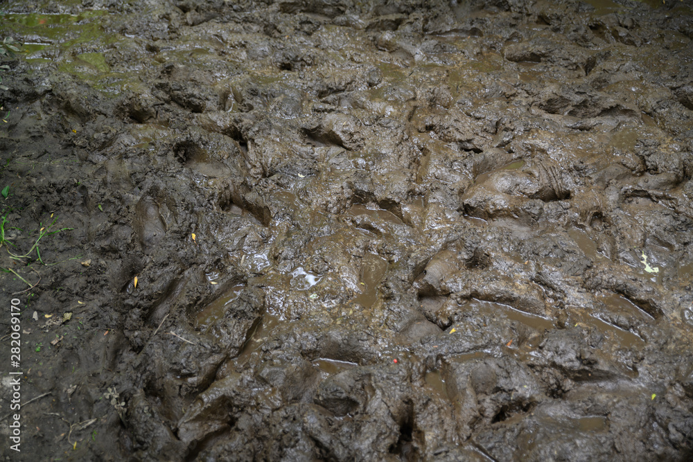 Naklejka premium Wet mud with many footprints in it