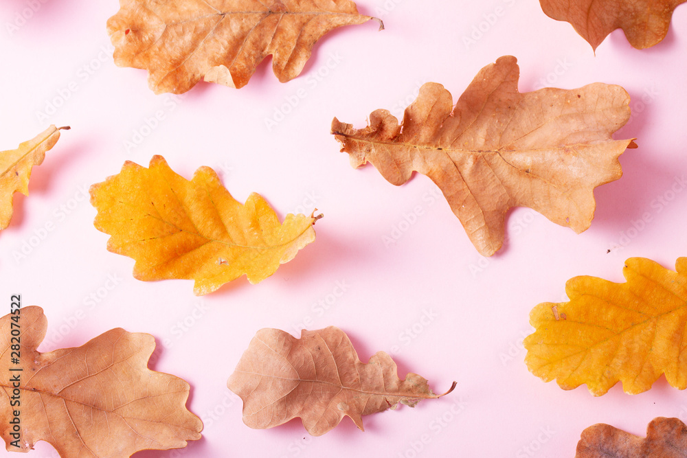Fototapeta premium Fall leaves autumn background