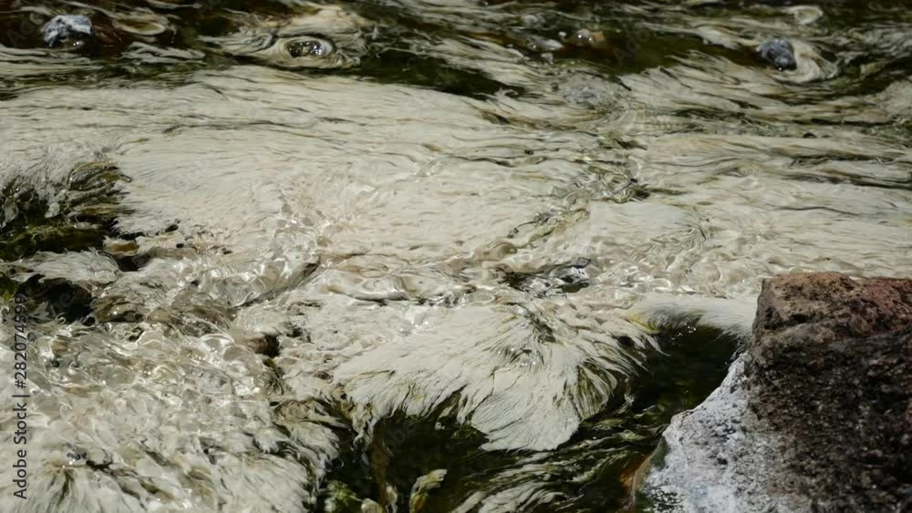 Vidéo Stock Chloroflexus aurantiacus bacteria in hot spring, Chaeson