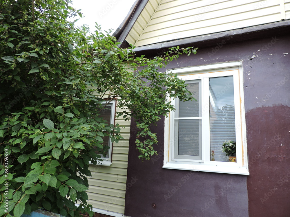 house in the garden house in the garden