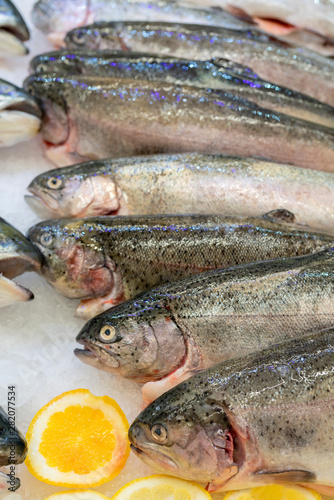 Fresh trout fish on an ice counter in supermarket.